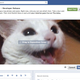 Illustration for article titled How to Get Facebook's New Timeline Now